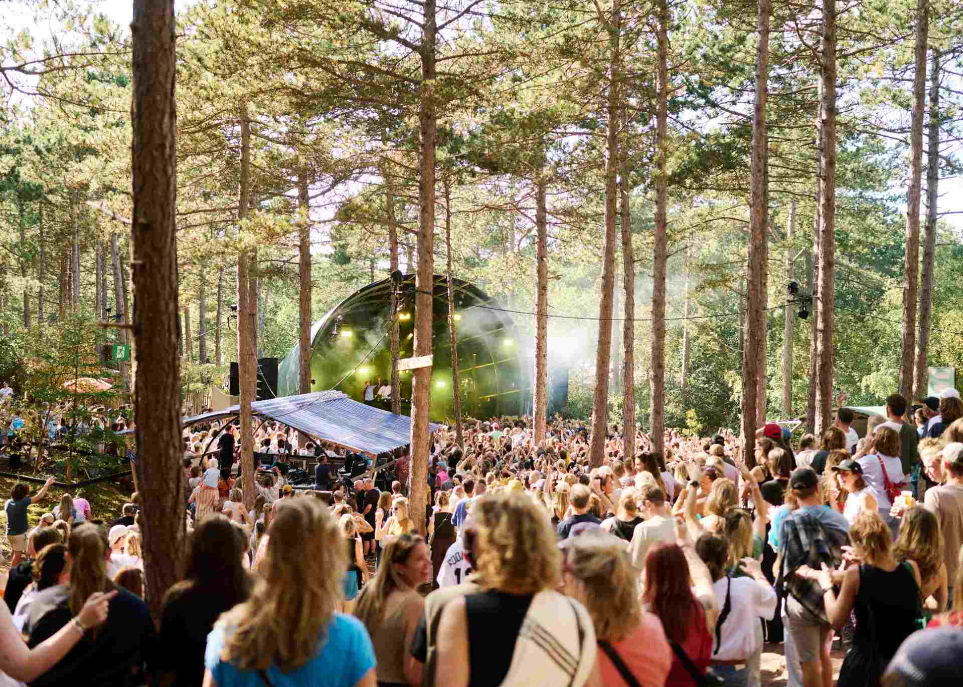 Into The Great Wide Open 2026: ‘Intiem, vooruitstrevend en eigenzinnig’